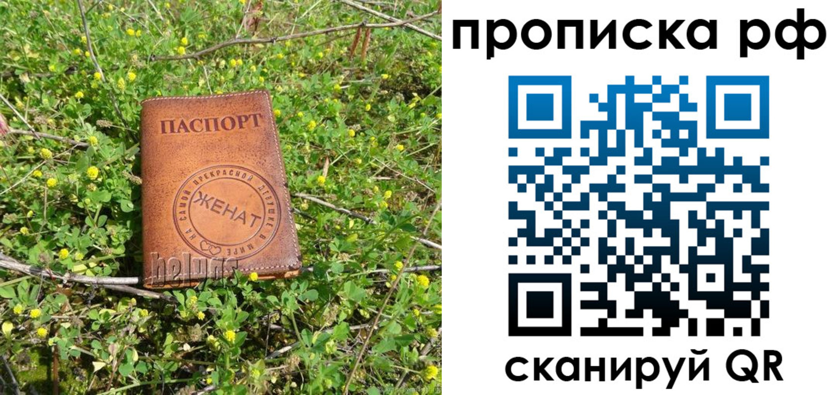 прописка паспорт в Называевске